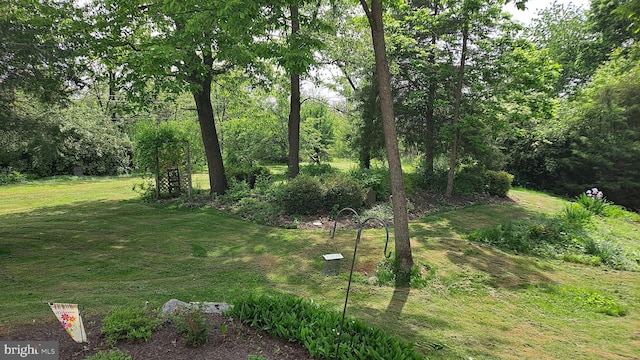 711 Tristan Trl, Chambersburg, PA 17202 - view of green lawn