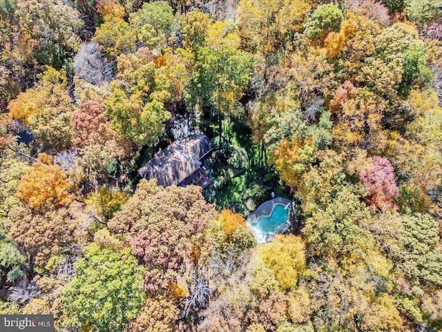 8150 Wolf Run Shoals Rd, Clifton, VA 20124 - drone / aerial view of a forest and a pool