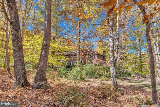 8150 Wolf Run Shoals Rd, Clifton, VA 20124 - view of yard