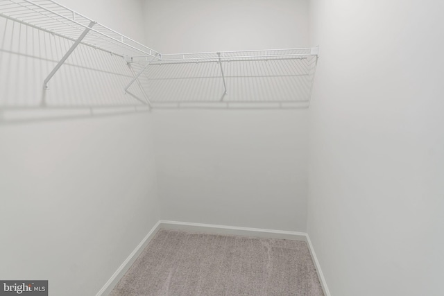 16 Angus Dr, Hanover, PA 17331 - walk in closet with carpet flooring
