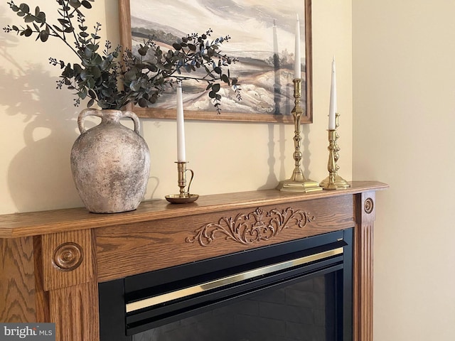 7 Brookside Cir, Myerstown, PA 17067 - detailed view of a glass covered fireplace