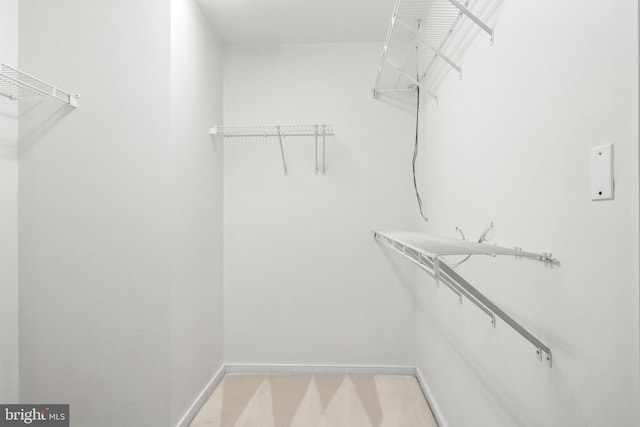1414 N Johnson St, Arlington, VA 22201 - walk in closet featuring light colored carpet