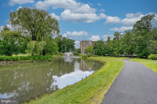 15115 Interlachen Dr Unit 3-920, Silver Spring, MD 20906 - water view