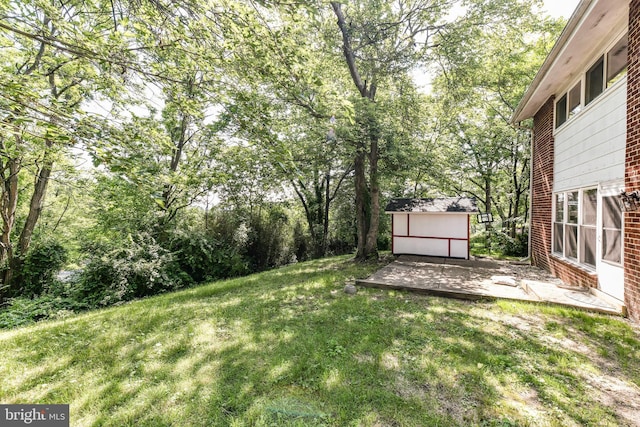6322 Phyllis Ln, Alexandria, VA 22312 - view of grassy yard