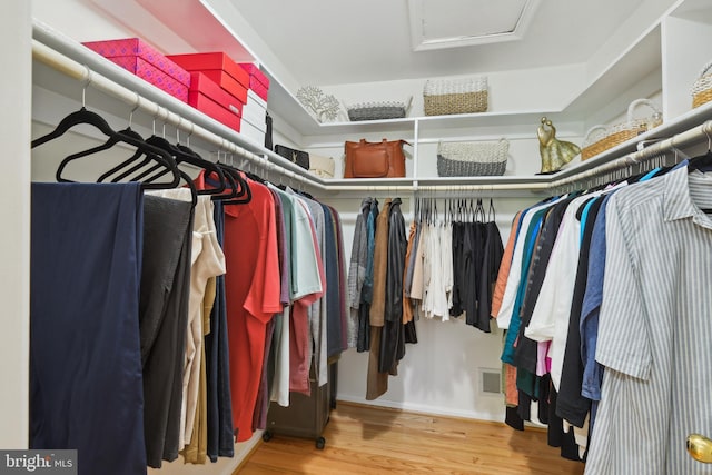 10104 Colebrook Ave, Potomac, MD 20854 - walk in closet with attic access and wood finished floors