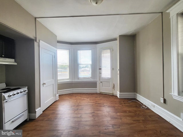 4623 N Broad St, Philadelphia, PA 19140 - kitchen with white range, plenty of natural light, under cabinet range hood, and dark wood-style floors
