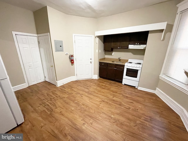 4623 N Broad St, Philadelphia, PA 19140 - kitchen featuring white appliances, under cabinet range hood, a sink, dark brown cabinets, and light countertops