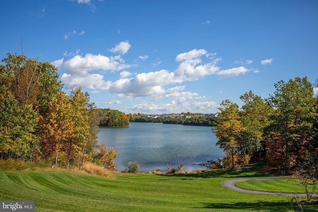118 Milkweed Dr, Lake Frederick, VA 22630 - water view