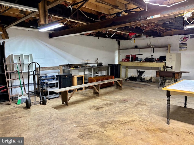 149 Smoketown Rd, Mertztown, PA 19539 - basement with a workshop area
