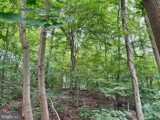 149 Smoketown Rd, Mertztown, PA 19539 - view of woods