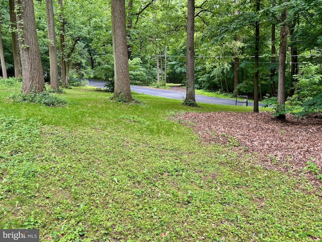 149 Smoketown Rd, Mertztown, PA 19539 - view of yard with a forest view