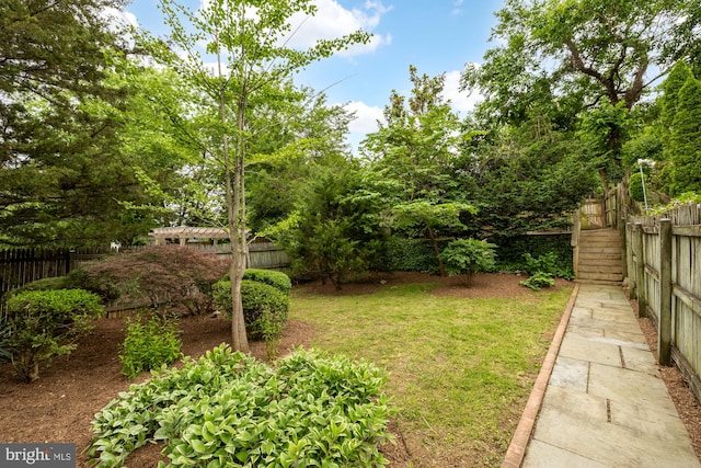 1505 Otis St NE, Washington, DC 20017 - view of yard with stairway