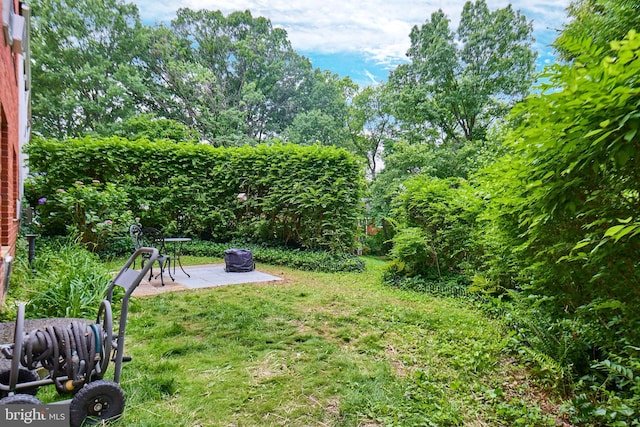 3501 Martha Custis Dr, Alexandria, VA 22302 - view of grassy yard featuring a patio