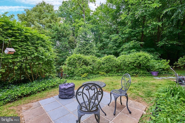 3501 Martha Custis Dr, Alexandria, VA 22302 - view of patio