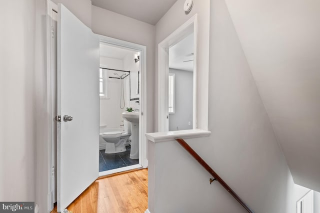 4937 Schaub Ave, Baltimore, MD 21206 - hall with light wood-style floors and an upstairs landing