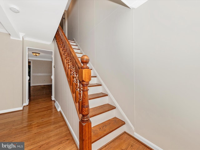 21 E D St, Brunswick, MD 21716 - staircase with wood finished floors and baseboards