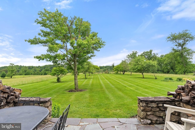 22693 St Louis Rd, Middleburg, VA 20117 - view of grassy yard