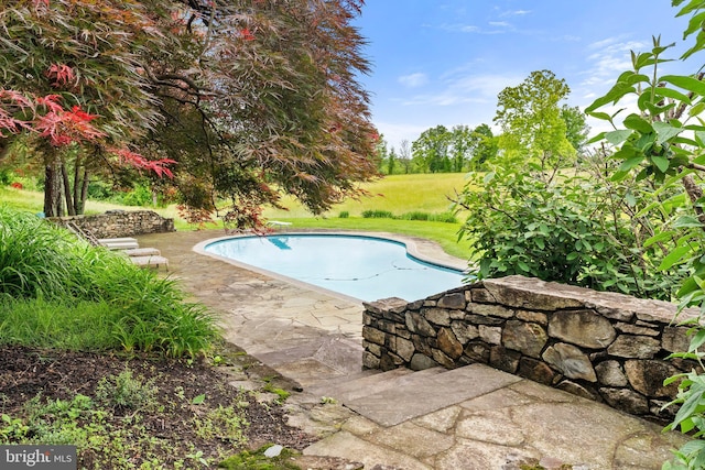 22693 St Louis Rd, Middleburg, VA 20117 - swimming pool featuring a patio area