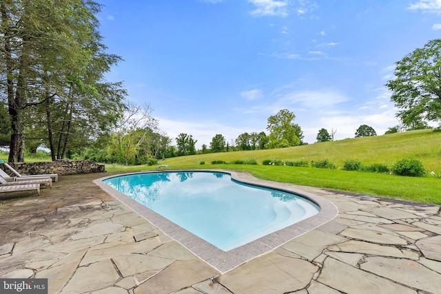 22693 St Louis Rd, Middleburg, VA 20117 - swimming pool featuring a patio area and a lawn
