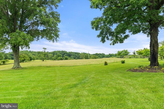 22693 St Louis Rd, Middleburg, VA 20117 - view of grassy yard with a view of countryside