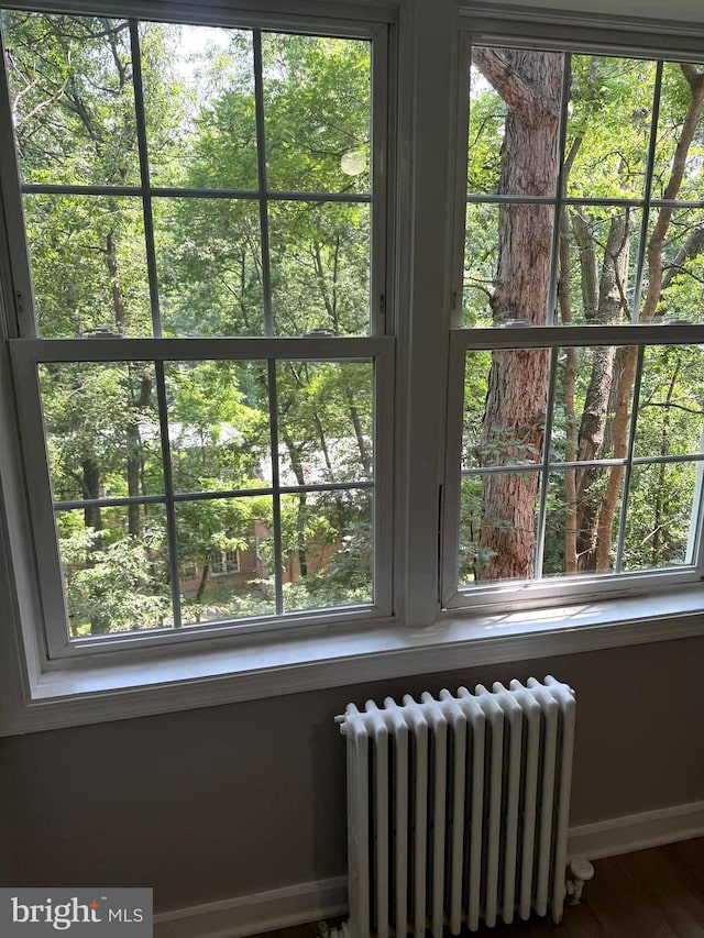 5104 Columbia Pike Unit 6, Arlington, VA 22204 - detailed view of radiator heating unit and wood finished floors