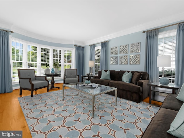 116 Colony Xing, Edgewater, MD 21037 - living room featuring ornamental molding, healthy amount of natural light, and wood finished floors