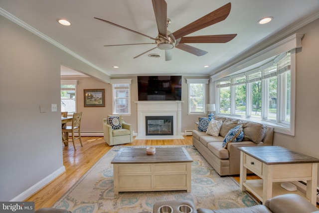 1606 Jeffers Rd, Baltimore, MD 21204 - living room with a baseboard radiator, crown molding, a ceiling fan, a fireplace with flush hearth, and light wood-style floors