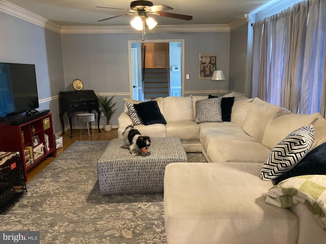 4117 Charley Forest St, Olney, MD 20832 - living room featuring a ceiling fan, ornamental molding, and baseboards