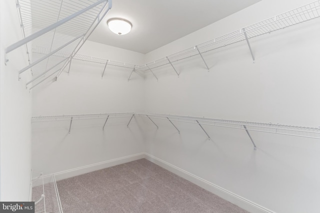 4338 Taviston Ct E, Emmaus, PA 18049 - spacious closet featuring carpet flooring