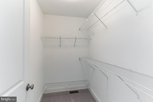 4338 Taviston Ct E, Emmaus, PA 18049 - spacious closet with carpet floors