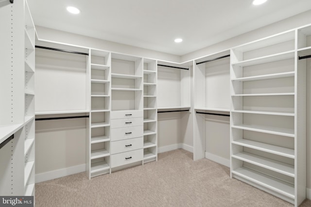 925 Merrick Ave, Haddon Twp, NJ 8108 - walk in closet featuring light colored carpet