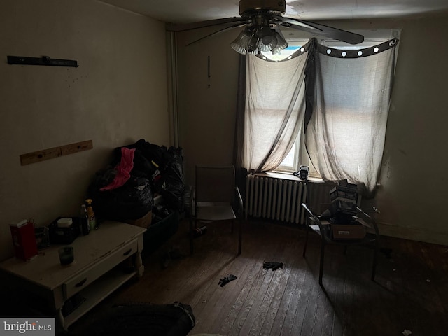 567 S Christian St, Lancaster, PA 17602 - bedroom featuring radiator heating unit and hardwood / wood-style flooring