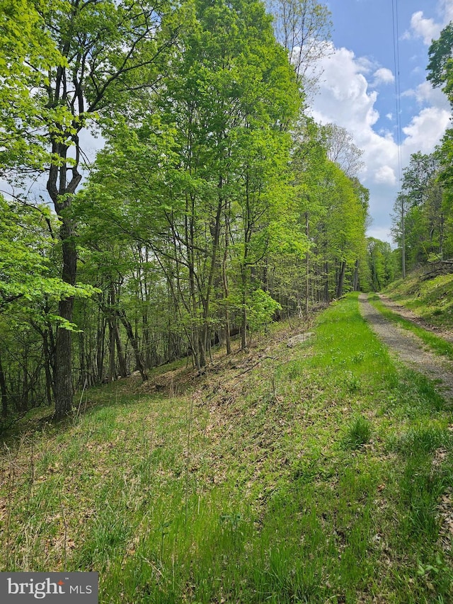 High View Rd, Old Fields, WV 26845