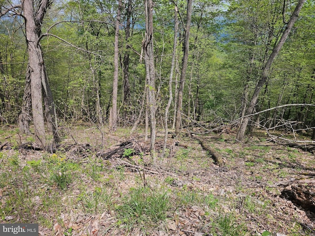 High View Rd, Old Fields, WV 26845