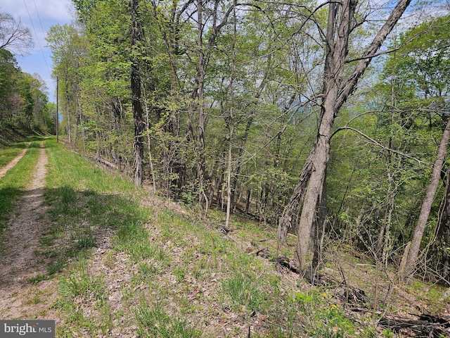 High View Rd, Old Fields, WV 26845