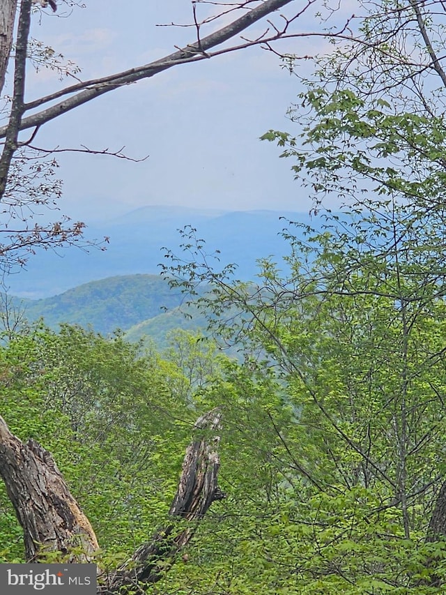 High View Rd, Old Fields, WV 26845