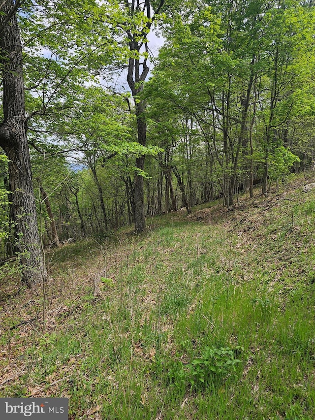 High View Rd, Old Fields, WV 26845