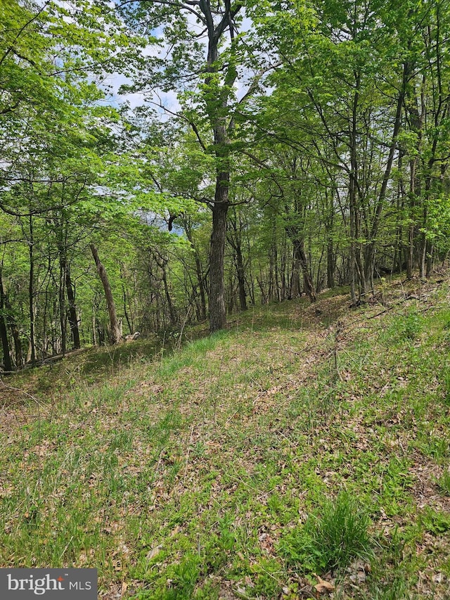 High View Rd, Old Fields, WV 26845