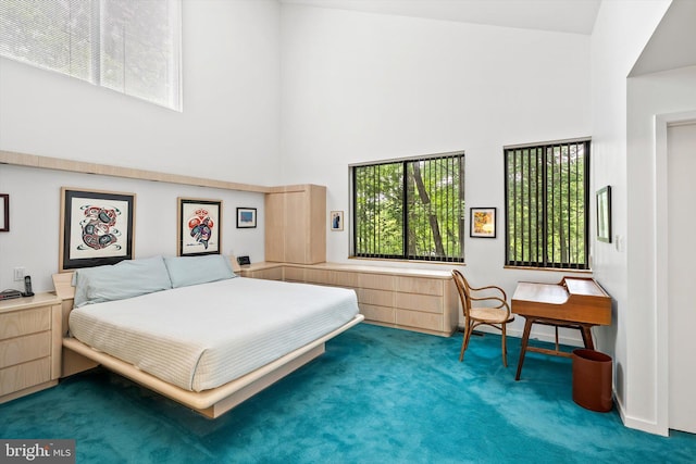 1163 Stuart Rd, Princeton, NJ 08540 - carpeted bedroom with a high ceiling and multiple windows