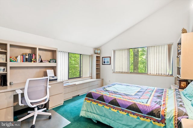1163 Stuart Rd, Princeton, NJ 08540 - bedroom featuring carpet floors and high vaulted ceiling