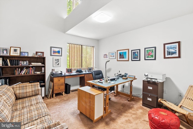 1163 Stuart Rd, Princeton, NJ 08540 - office area with carpet