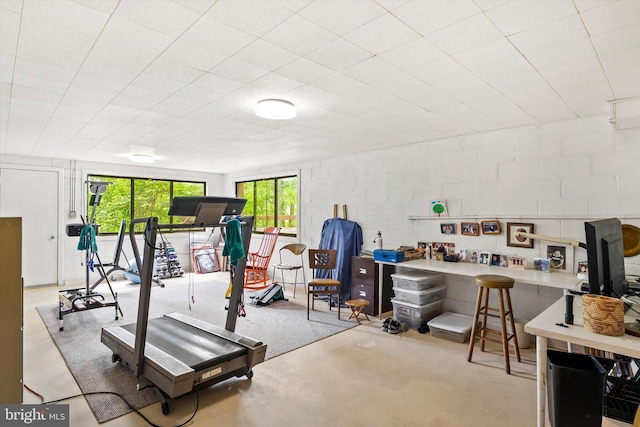 1163 Stuart Rd, Princeton, NJ 08540 - exercise area with concrete block wall