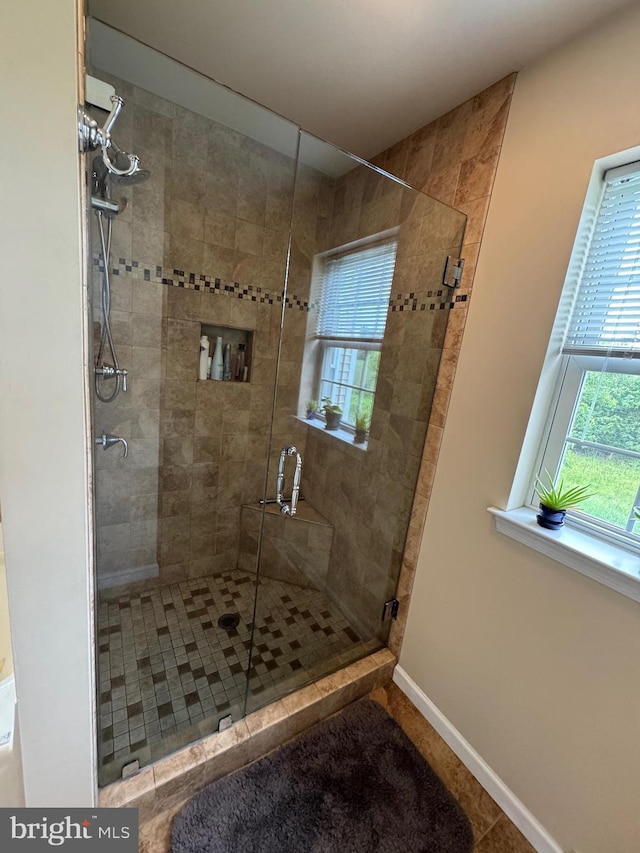 7 Red Fox Ct, Reinholds, PA 17569 - full bathroom with plenty of natural light, a stall shower, and baseboards