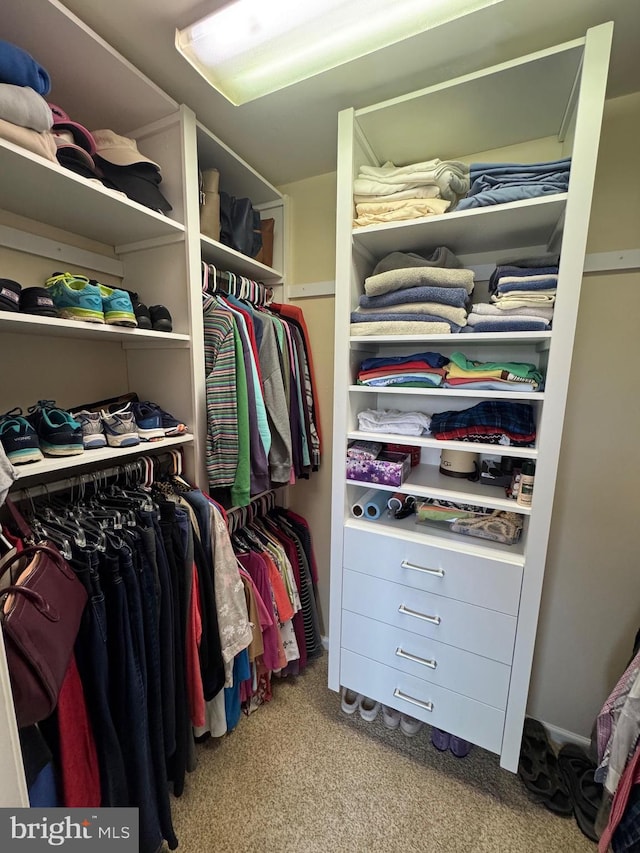 7 Red Fox Ct, Reinholds, PA 17569 - spacious closet with carpet flooring