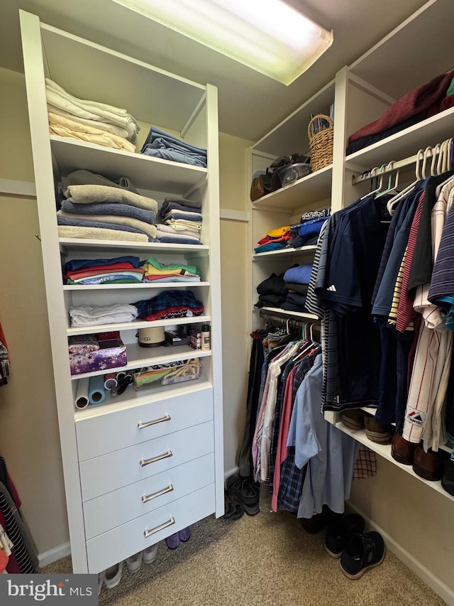 7 Red Fox Ct, Reinholds, PA 17569 - walk in closet with carpet
