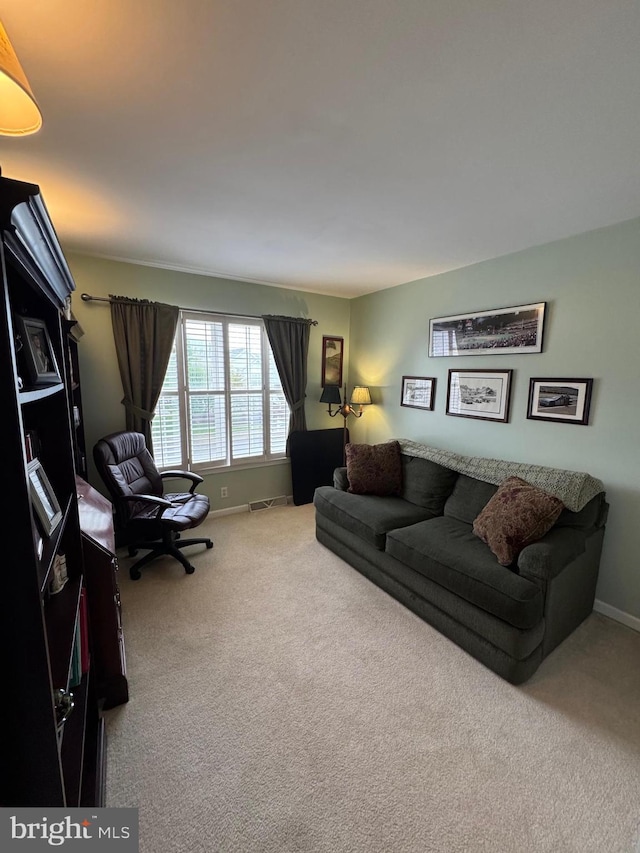 7 Red Fox Ct, Reinholds, PA 17569 - living room featuring carpet floors and baseboards