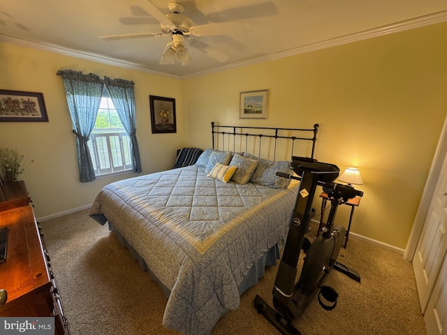 7 Red Fox Ct, Reinholds, PA 17569 - bedroom with carpet, ornamental molding, baseboards, and a ceiling fan