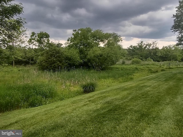 7 Red Fox Ct, Reinholds, PA 17569 - view of nature