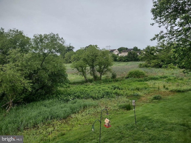 7 Red Fox Ct, Reinholds, PA 17569 - view of yard