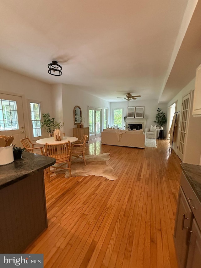 3501 Marthas Vineyard Way, Edgewater, MD 21037 - living area featuring light wood-style flooring, a fireplace, and a ceiling fan